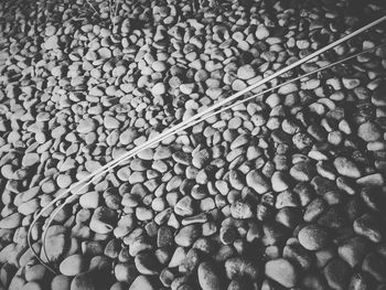 Full frame shot of firewood