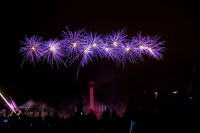 Firework display at night