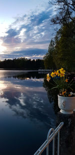 Scenic view of lake by trees against sky