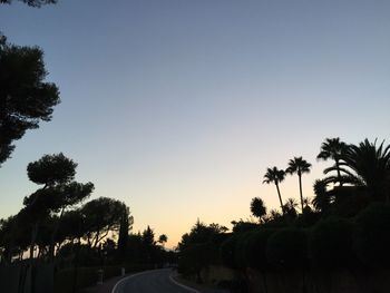 Empty road along trees