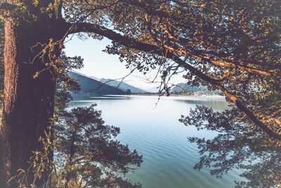 Scenic view of lake against sky during autumn