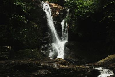 Low angle view of waterfall in forest