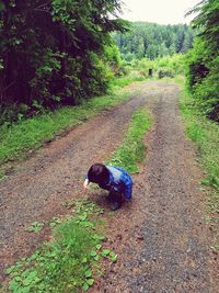 Dog walking on road