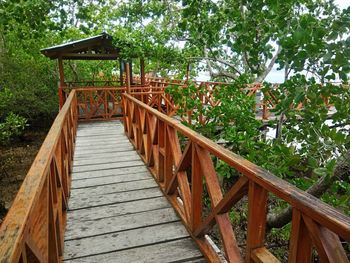 View of bridge in forest