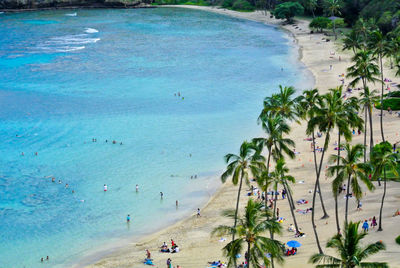 Hanauma bay beach at oahu island , beach.