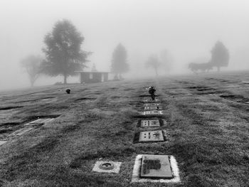 Man on field against sky during foggy weather