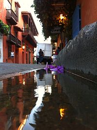 Reflection of buildings in water