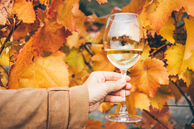 Cropped hand of woman holding wineglass