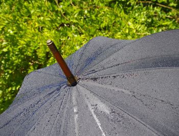 High angle view of raindrops on umbrella