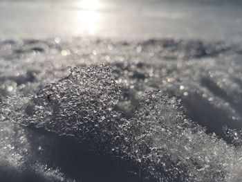 Close-up of frozen water on land