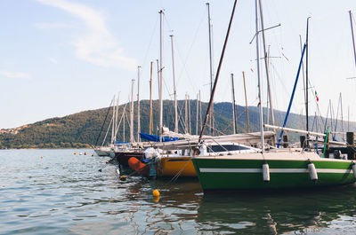 Sailboats moored in harbor