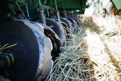 Close-up of hay