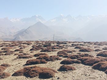 Scenic view of mountain range