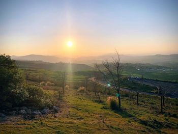 Scenic view of field against sky during sunset