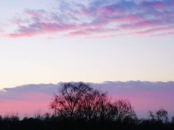 Silhouette trees against sky during sunset