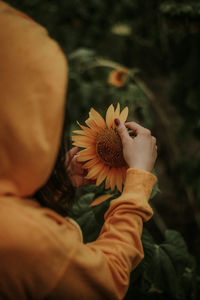 Close-up of hand holding flowering plant