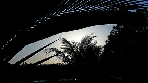 Low angle view of silhouette palm trees against sky