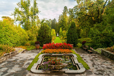 The botanical garden of wonderful villa taranto in verbania, lake maggiore, italy