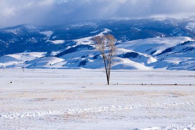 Scenic view of snow covered mountains against sky