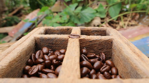 Close-up of coffee beans