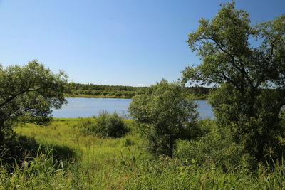 Scenic view of lake and trees against clear sky