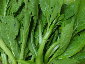 Full frame shot of vegetables