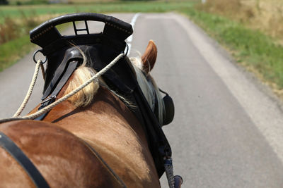 View of horse cart on road