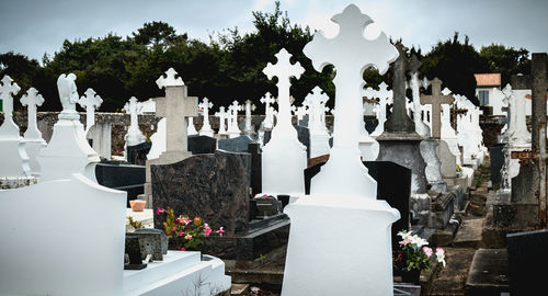 Panoramic view of cemetery