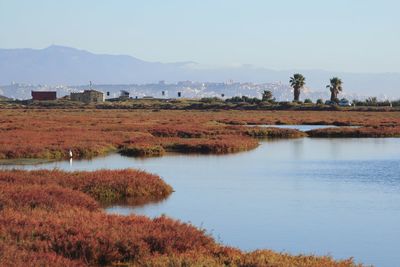 Scenic view of lake against sky