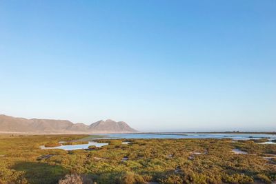 Scenic view of beach against clear blue sky