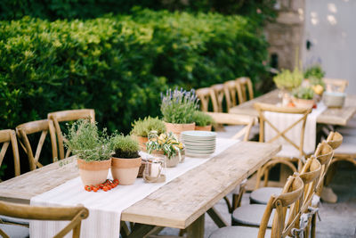 Potted plants on table at restaurant