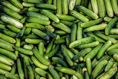 Full frame shot of the keera cucumber 