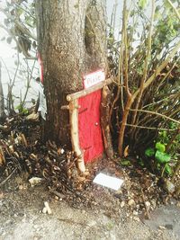 Arrow sign on tree trunk in forest