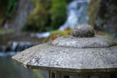 Close-up of stone on rock