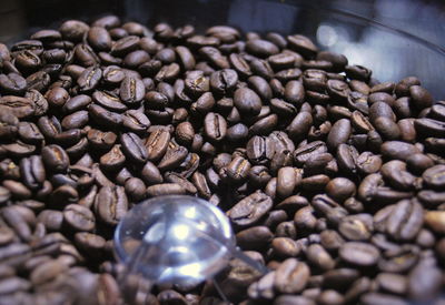 Close-up of coffee beans