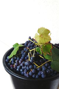 Close-up of grapes in container