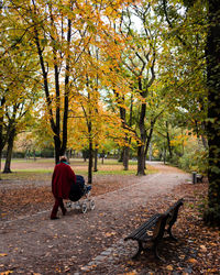 Rear view of woman walking with baby carriage on footpath at park during autumn