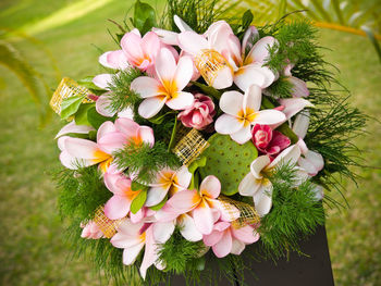 High angle view of pink flowering plant