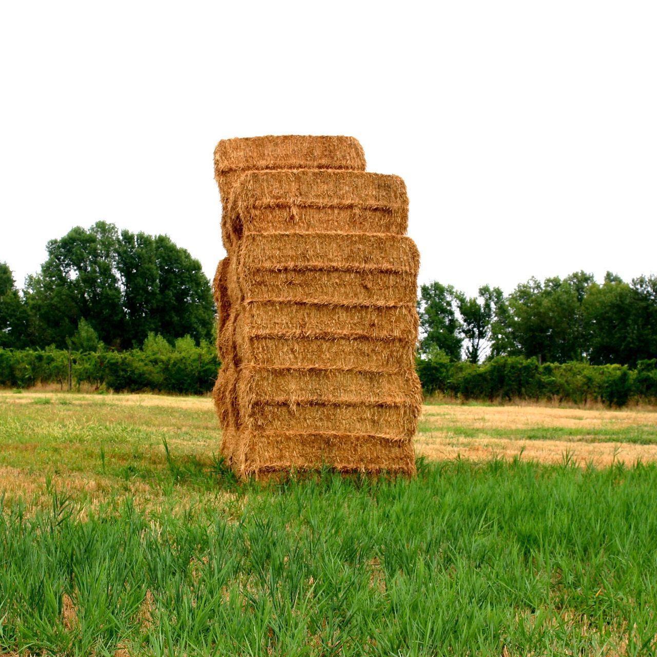 STACK OF HAY ON FIELD