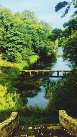 Scenic view of lake amidst trees in forest against sky