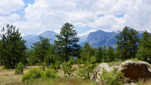 Panoramic view of trees and mountains against sky