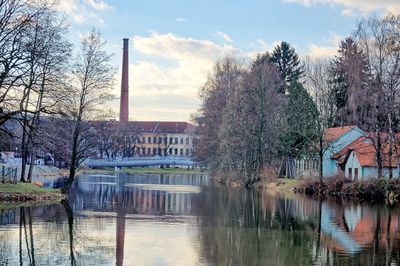 Trees by lake against buildings