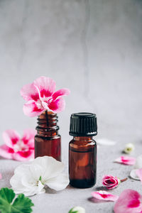 Close-up of pink rose flower on table