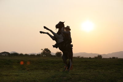 Man riding horse on field during sunset