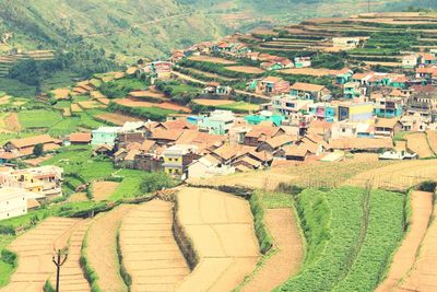 High angle view of houses in a field