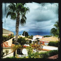 Palm trees against cloudy sky