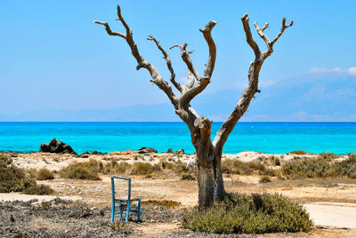 Scenic view of sea against sky and old broken  chair by deadwood.