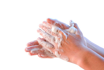 Close-up of hand holding leaf over white background
