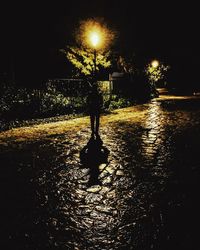 Reflection of illuminated lights in puddle