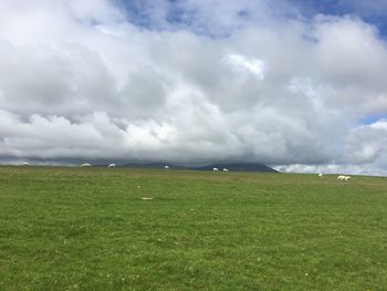 Scenic view of field against sky